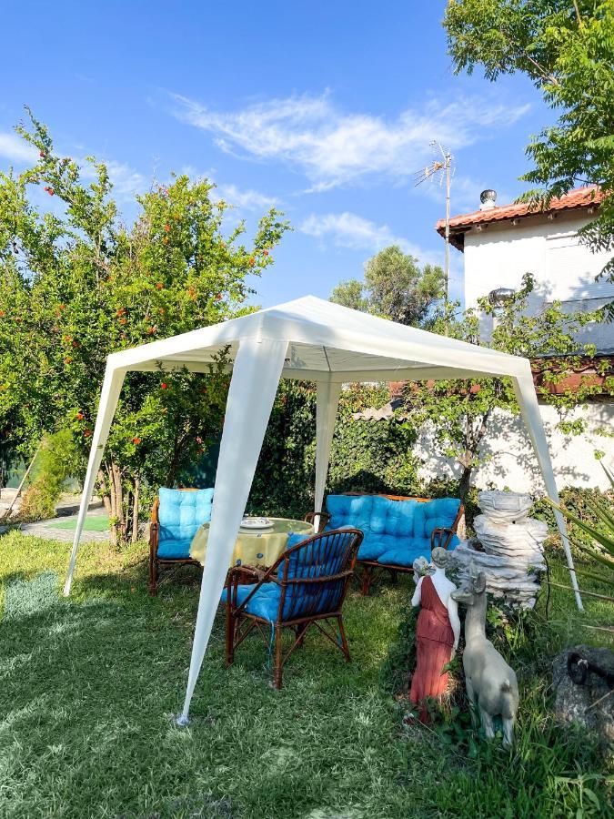 Casa Lia-Beach Front Villa Nea Kallikrateia Bagian luar foto